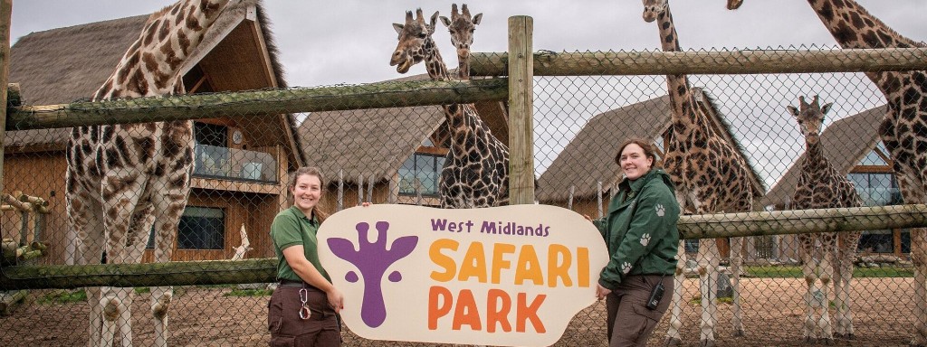 Giraffes at West Midlands Safari Park with staff holding the park sign