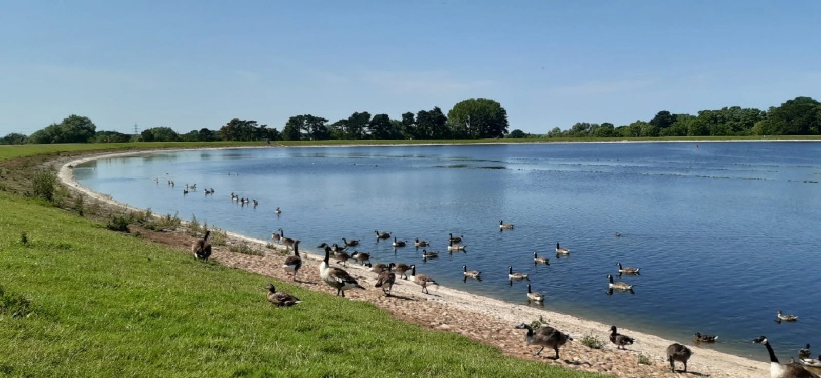 Shustoke Reservoir with grassy banks and calm blue water